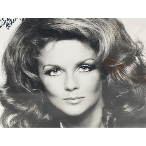 249 - AUTOGRAPH ANN MARGRET ACTRESS SUPERB BLACK AND WHITE PHOTOGRAPH SIGNED TOP LEFT