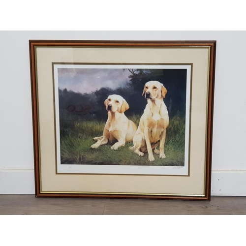 179 - Framed and signed After John Lewis Fitzgerald photolithographic print Golden Labradors, Published by... 