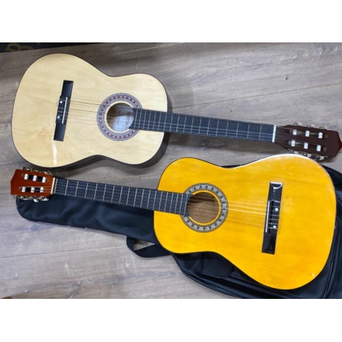 306 - Two acoustic guitars - 1 with protective carry bag