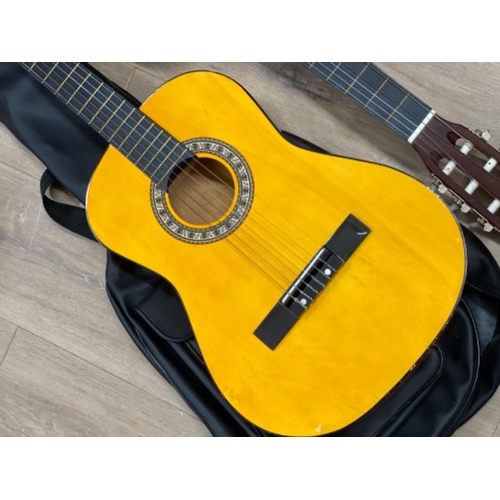 306 - Two acoustic guitars - 1 with protective carry bag