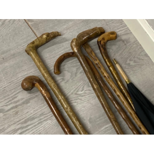 328 - Bundle of vintage wooden walking sticks & umbrella