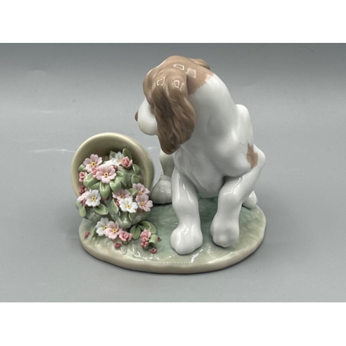 27 - Lladro 7672 ‘It wasn’t me’ in good condition and original box