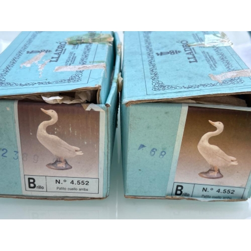 53 - Lladro x2 Little ducks 4552 in good condition and original boxes