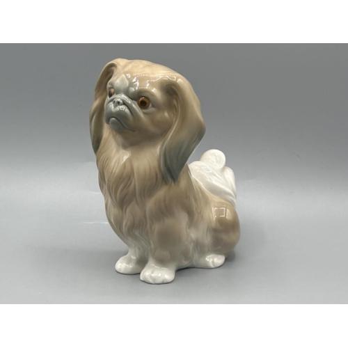 65 - Lladro 4641 ‘Pekingese dog’ in good condition