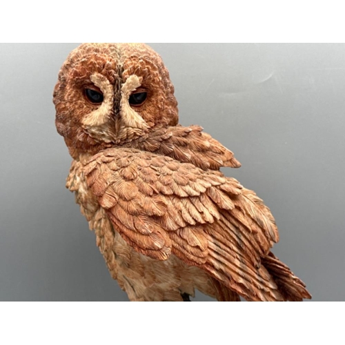 185 - Brooks & Bentley limited edition Owl sculpture titled The Silent Hunter Of The Night, on wooden base... 