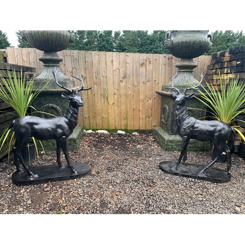 61 - MATCHING PAIR CAST IRON STAGS ON PLINTH