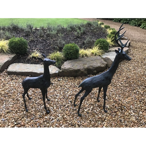 52 - CAST METAL PAIR OF MATCHING DEERS IN VERDI BRONZE FINISH