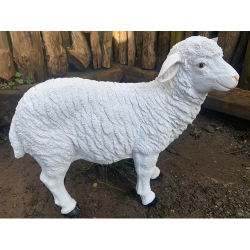 59 - NEW CRATED RESIN LAMB STATUE