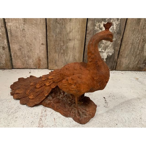 106 - HEAVY RUSTY CAST IRON PEACOCK (APPROX SIZE 42CM X 21CM X 31XM)