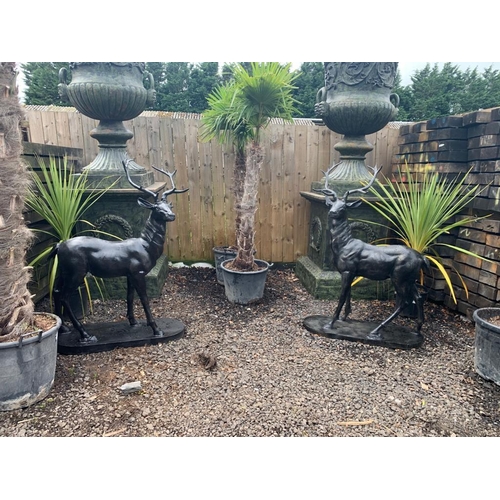 6 - MATCHING PAIR CAST IRON STAGS ON PLINTH LOOKING LEFT AND RIGHT