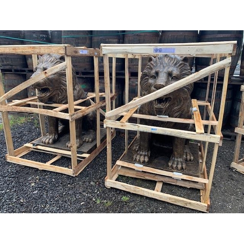 10 - MASSIVE PAIR CRATED SITTING LIONS FINISHED IN BRONZE