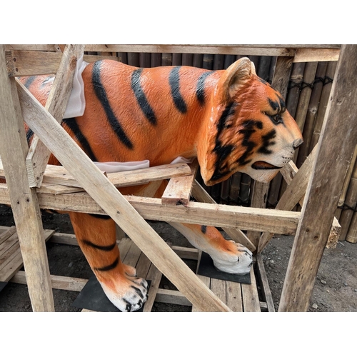 35 - NEW CRATED LIFESIZE WALKING TIGER