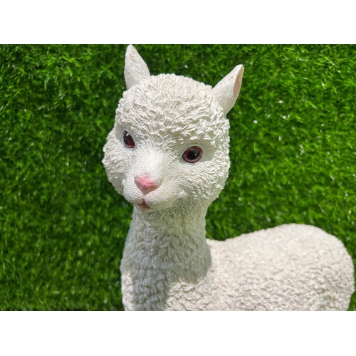 79 - NEW BOXED SMALL ALPACA STATUE APPROX 55CM TALL