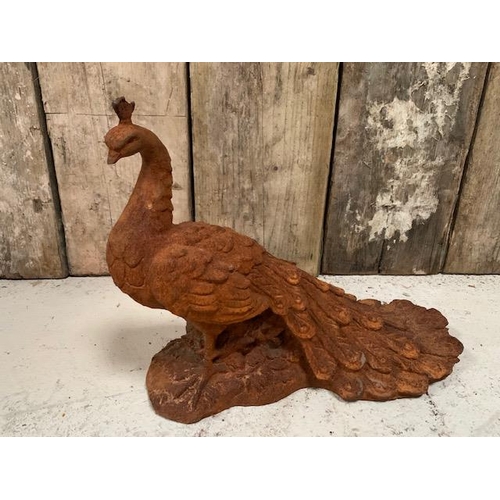 96 - LARGE HEAVY CAST IRON RUSTY PEACOCK