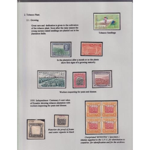 37 - TOBACCO THEMATIC - Fabulous 54 page exhibit. Presented in the highest order with much useful early m... 