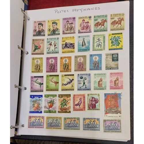 Lot 17        