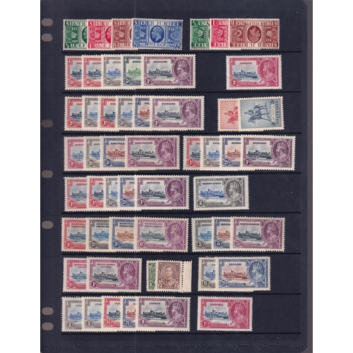 Lot 31        