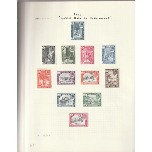 Lot 36        