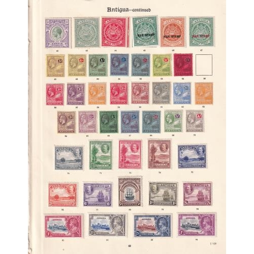 Lot 40        