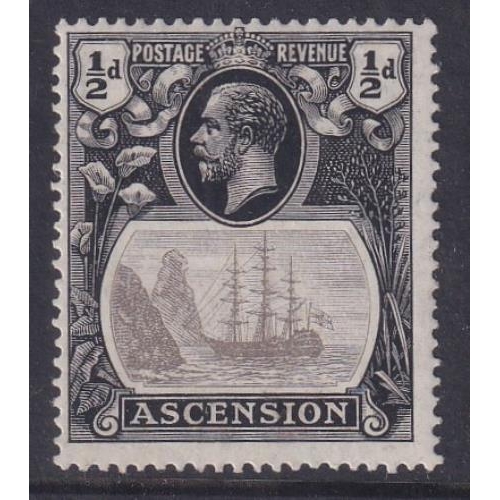 Lot 41        