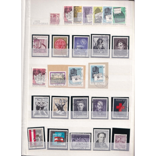 Lot 49        
