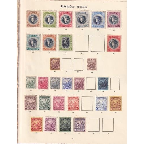 Lot 55        