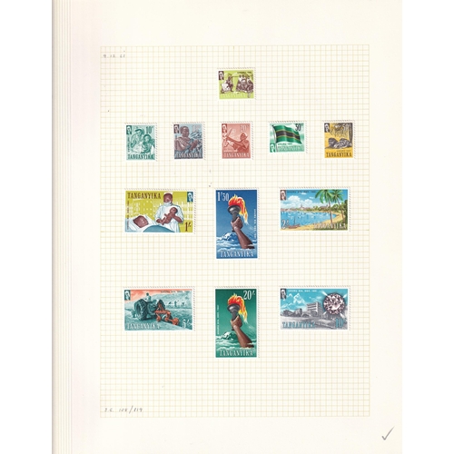 Lot 7         