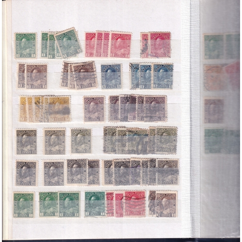 167 - SMALL STOCKBOOK Noting 1900 20c FU.  1903 Edward 50c mint (c £500) and a used set (£180).  1908 Queb... 