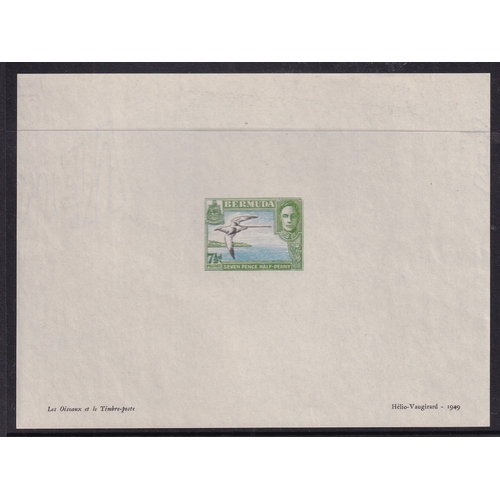 Lot 35        