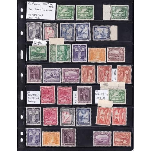 Lot 43        