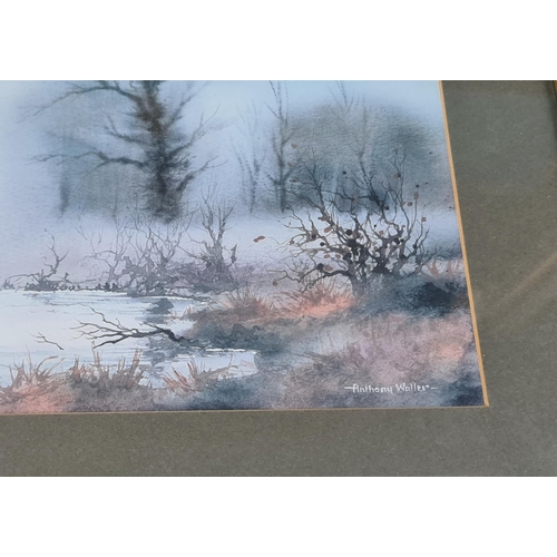 165 - Vintage Watercolour Painting on Board. Titled Evening Gold Signed lower Right Anthony Walter c1981. ... 