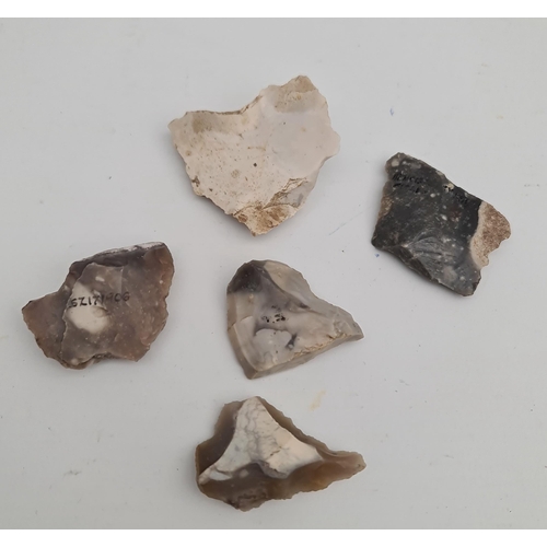 289 - Antique Late Palaeolithic Flint Weapons 5 Arrow Heads. Excavated in the late 1980's on Hengistbury H... 