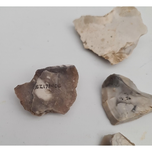 289 - Antique Late Palaeolithic Flint Weapons 5 Arrow Heads. Excavated in the late 1980's on Hengistbury H... 