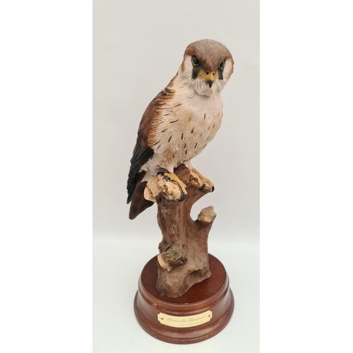 295 - Vintage Model Bird Figure Female Kestrel. Made by Pendragon Grafts. Measures 14 inches tall Shipping... 