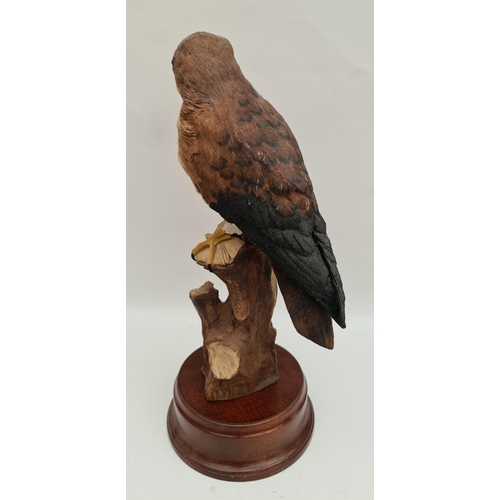 295 - Vintage Model Bird Figure Female Kestrel. Made by Pendragon Grafts. Measures 14 inches tall Shipping... 