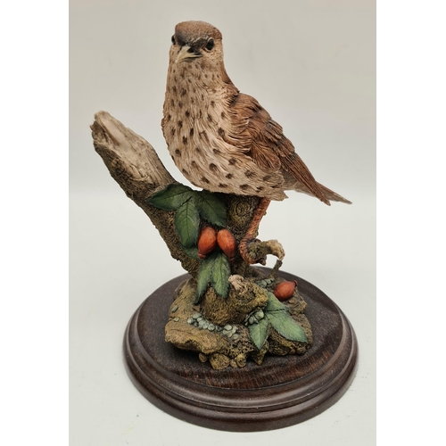 30 - Vintage Model Bird Figure Song Thrush. Country Artists Hand Crafted. Measures 8 inches tall. Shippin... 