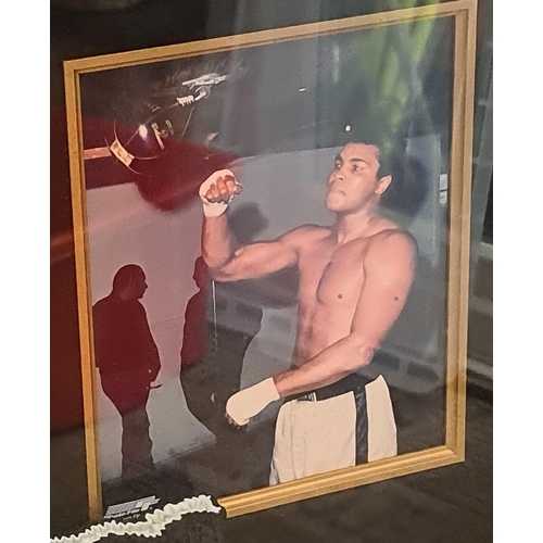 93 - Sporting Memorabilia Large Framed Muhammad Ali Collage With Boxing Items. Measures 37 inches wide 4 ... 