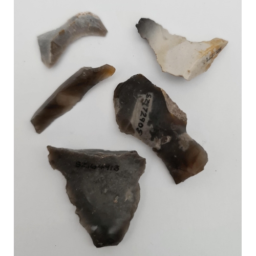 285 - Antique Late Palaeolithic 5 Flint Weapons Arrow Heads #6. Excavated in the late 1980's on Hengistbur... 