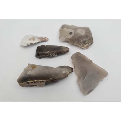 286 - Antique Late Palaeolithic 5 Flint Weapons Arrow Heads #7. Excavated in the late 1980's on Hengistbur... 