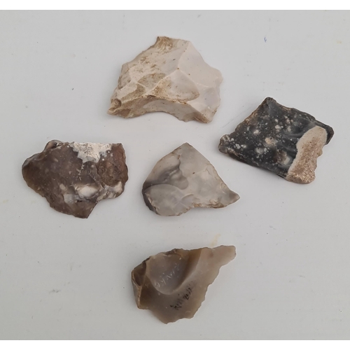 170 - Antique Late Palaeolithic 5 Flint Weapons Arrow Heads. Excavated in the late 1980's on Hengistbury H... 