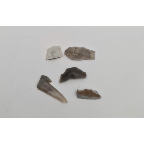 172 - Antique Late Palaeolithic5  Flint Weapons Arrow Heads #2. Excavated in the late 1980's on Hengistbur... 