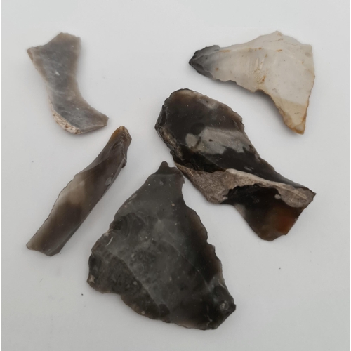 176 - Antique Late Palaeolithic 5 Flint Weapons Arrow Heads #6. Excavated in the late 1980's on Hengistbur... 