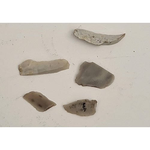 167 - Antique Late Palaeolithic5  Flint Weapons Arrow Heads #3. Excavated in the late 1980's on Hengistbur... 