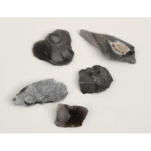 170 - Antique Late Palaeolithic5  Flint Weapons Arrow Heads #10. Excavated in the late 1980's on Hengistbu... 