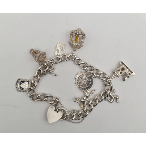 72 - Sterling Silver Charm Bracelet 9 Charms Total Weight 40g. Shipping is available. Please ask for a qu... 