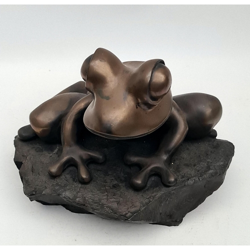 21 - Lawrence Murley Limited Edition 78/250 in 2008 Cold Cast Resin Bronze of a Brown Eyed Tree Frog. Mea... 