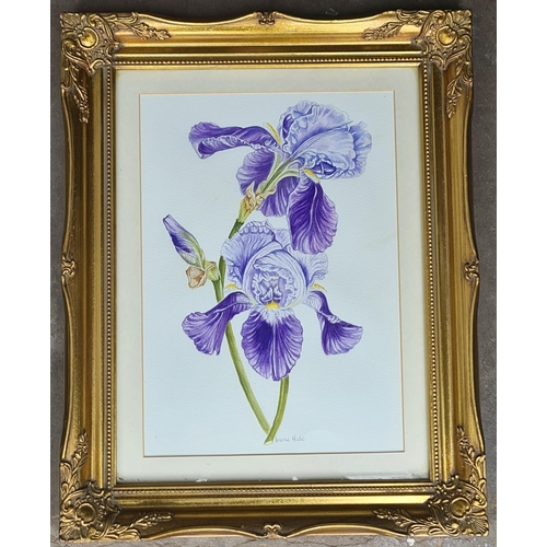 245 - Vintage Art Watercolour Painting of Iris on Board. Signed lower middle Irene Hale. Measures 15 inche... 