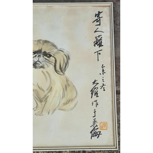 272 - Vintage Oriental Print of a Pekingese Dog. Framed and glazed. Measures 17 inches by 12 inches. Shipp... 