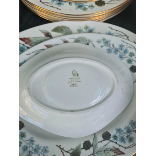 177 - Vintage Wedgwood Bone China Spring Morning Dinner Service. Includes 6 x Dinner Plates 6 x Side Plate... 