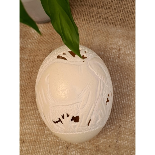 29 - Vintage Hand Carved and Signed Ostrich Egg. Carved with elephants and leaves. Measures 16cm long. No... 